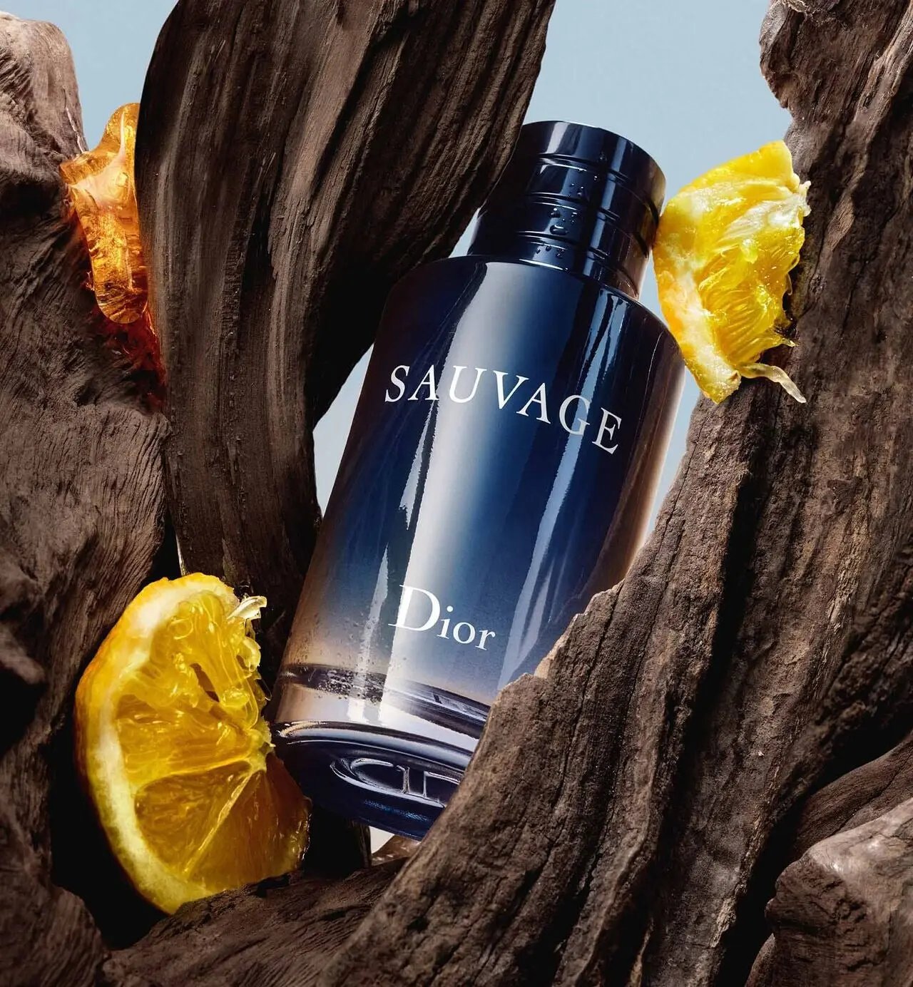 Dior Sauvage Edp 100 Ml Velvet Prime